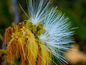 מהמורות הגיל: סערות הזמן
