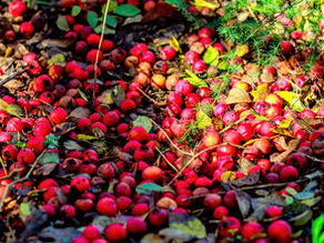 מעשה בדימוי עצמי