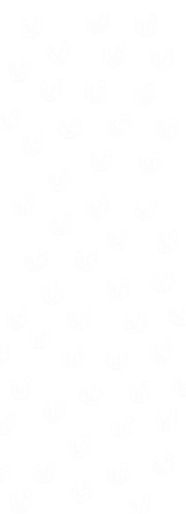 Rossi Pediatric Therapy Services background