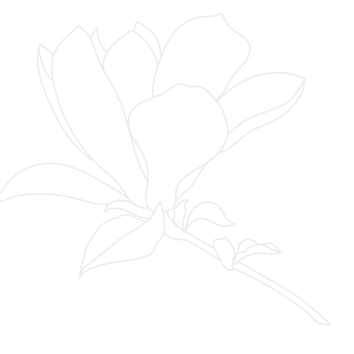 Magnolia Speech Therapy graphic