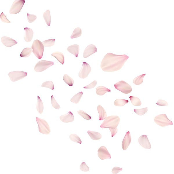 Jane M custom images (17).png