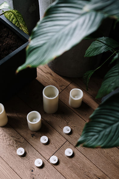 Indoor plant | Self healing via yoga | Yoga encyclopedia | Invest In Prana | San Francisco, CA, USA