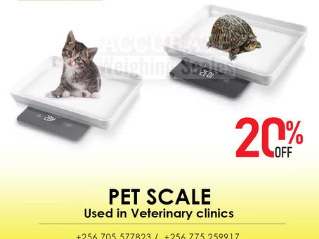 Electronic waterproof digital animal weighing scale for pets