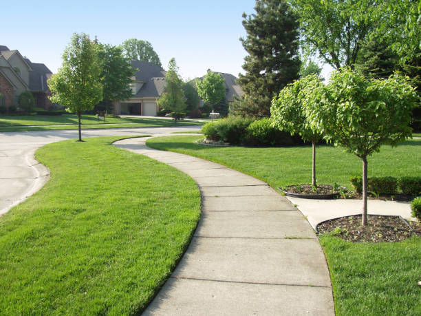Sidewalk Improvement Project Update