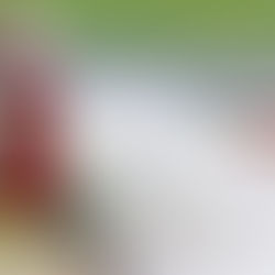 🚧 Hydrant Flushing Notice 🚧