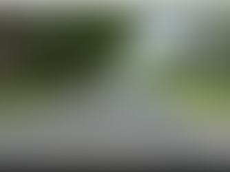 Enhancing Monroe Street N: Share Your Thoughts on Road Improvements and Sidewalks 