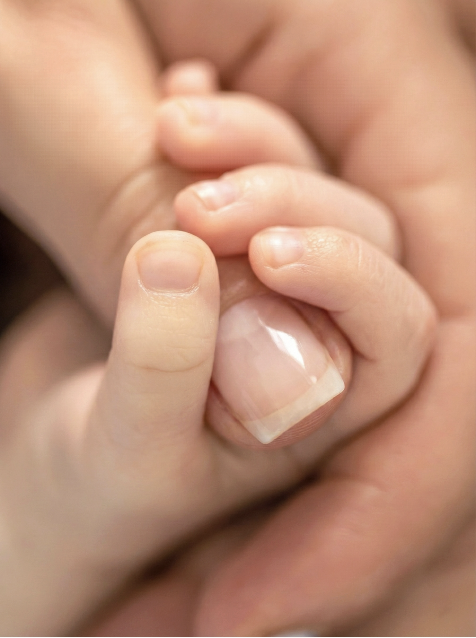 Captura de Tela 2026-02-04 às 20.13.04.png