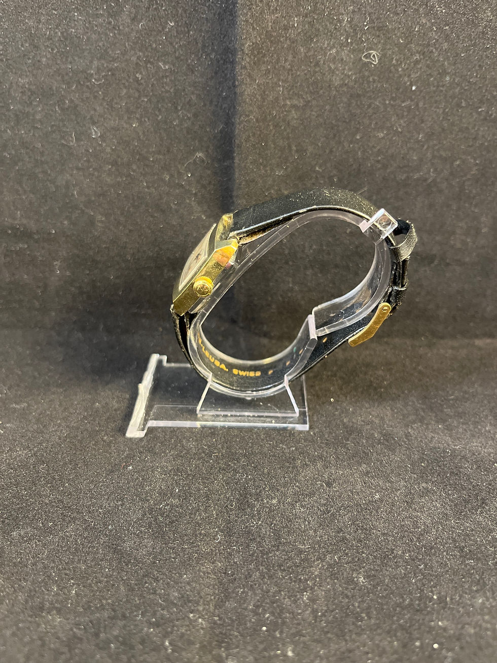 Miniature : Favre leuba
