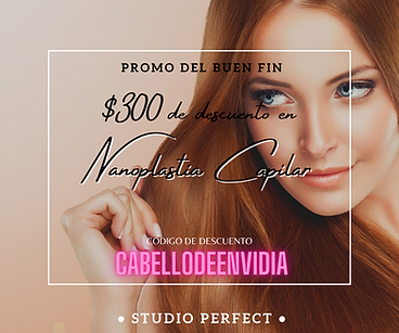 Promo del buen fin (6).png