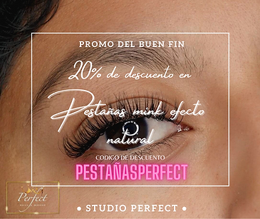 Promo del buen fin (3).png