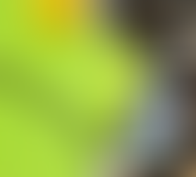 Offboarding jako kluczowy element doświadczenia pracownika - Jak skutecznie zakończyć współpracę?