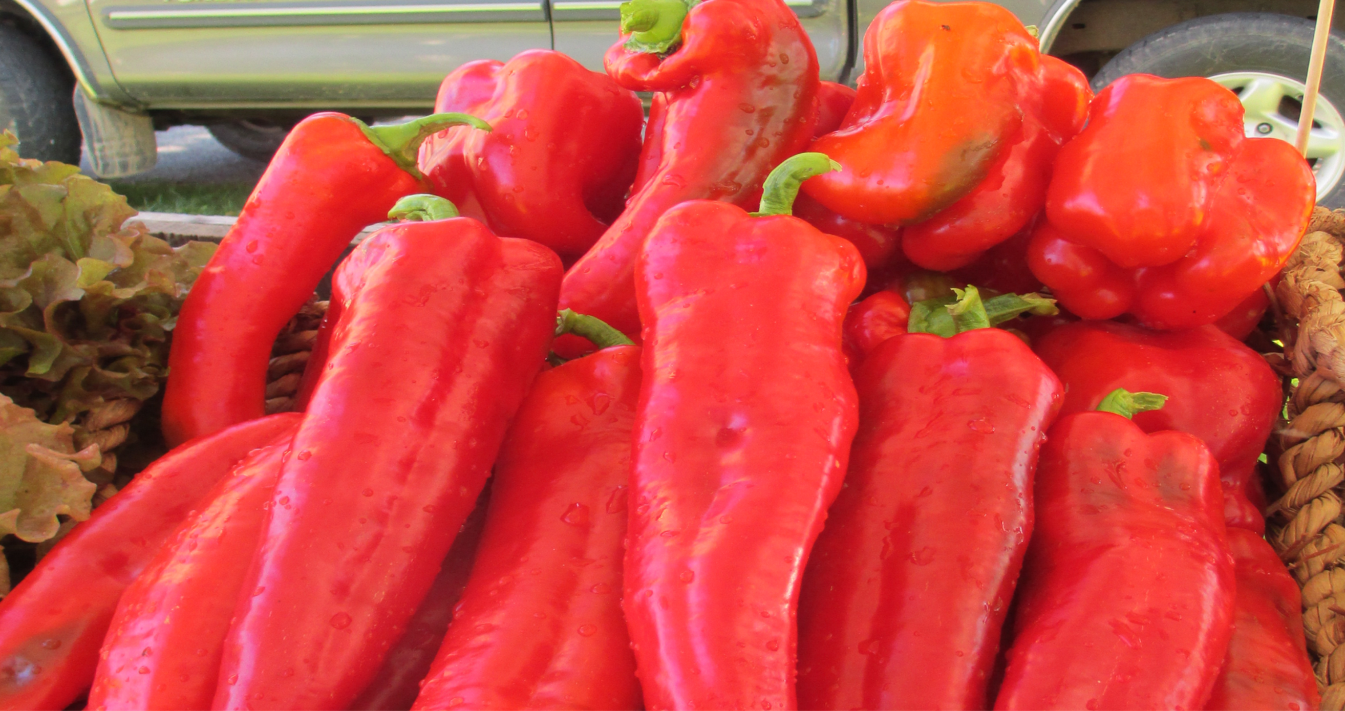 Italian Roasting Pepper, lb
