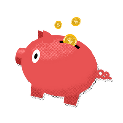 Investment Option