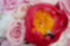 8X8A8404.jpg