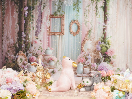 ★森の動物たちとのティーパーティー撮影会★