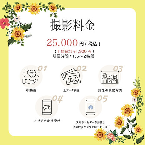 ひまわりのお花屋さんプラン内容バナー.jpg
