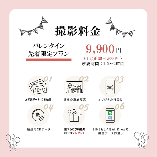バレンタイン_プラン内容バナー.png