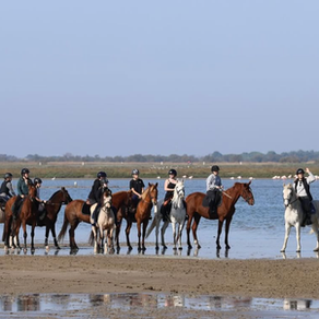 Sortie plage🦩☀️