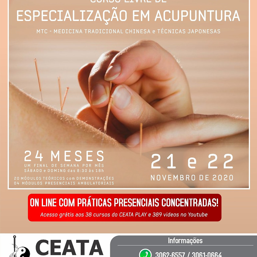 On Line : Acupuntura Curso Livre de Especialização - Com Práticas Presenciais Concentradas