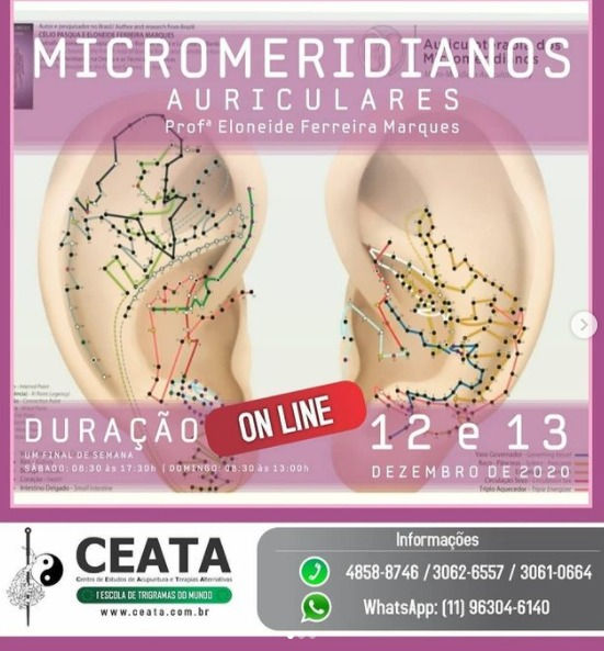 Curso Online _  Micromeridianos Auriculares