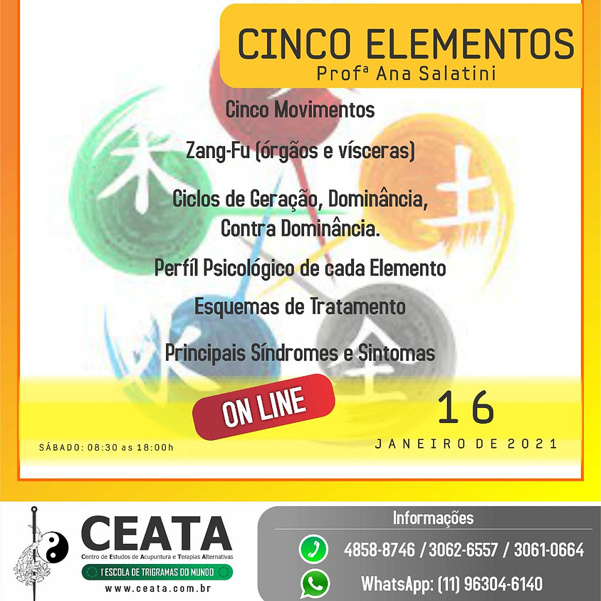 Curso Online: Cinco Elementos