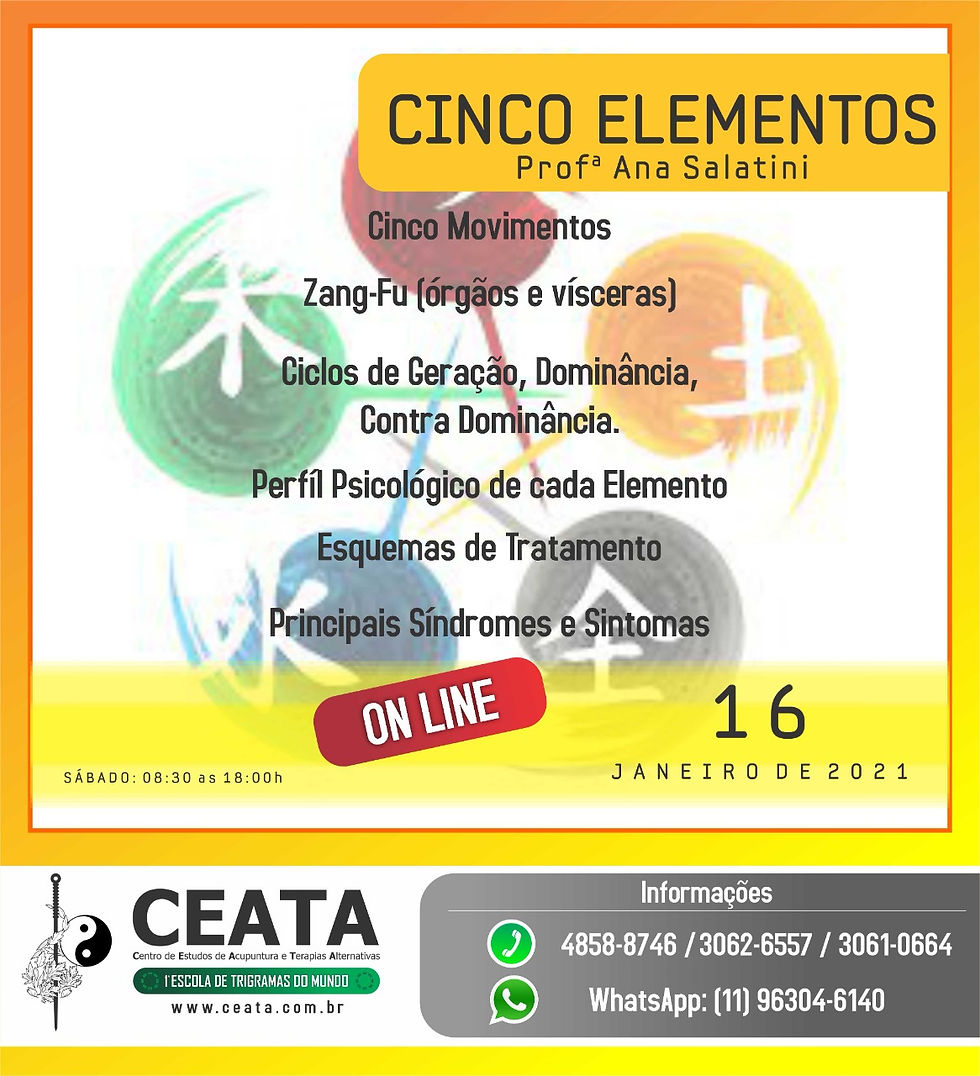 Curso Online: Cinco Elementos