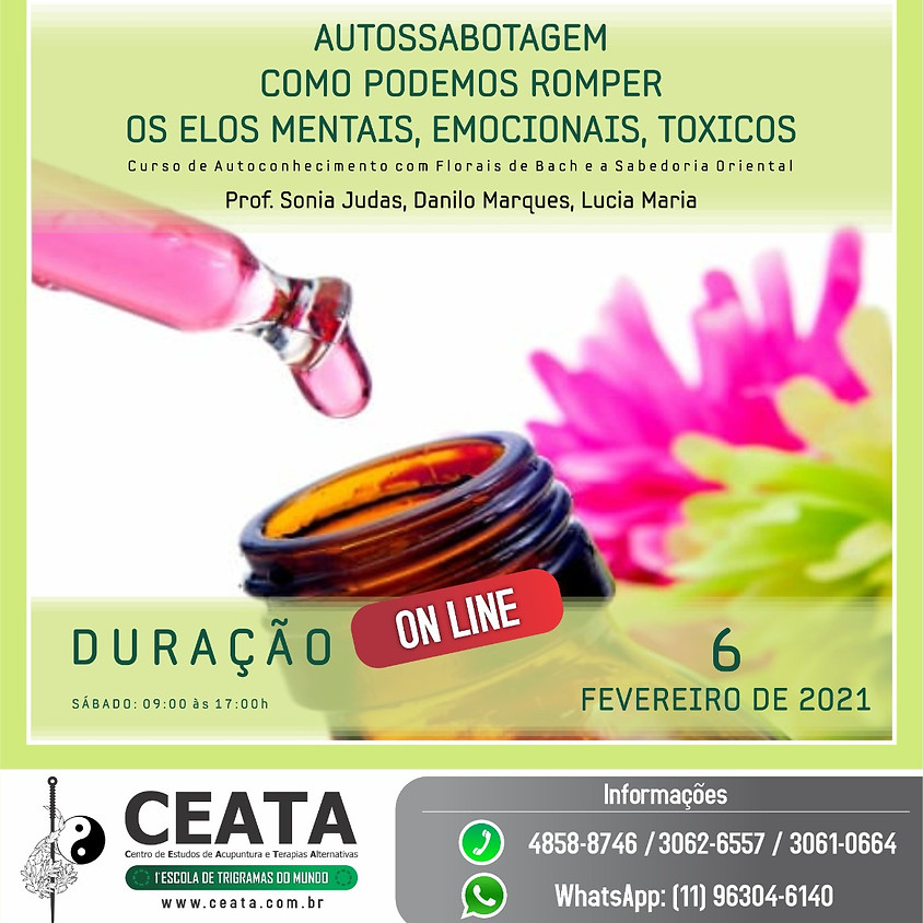Curso Online: Autossabotagem Como Podemos Romper os Elos Mentais, Emocionais, Tóxicos.