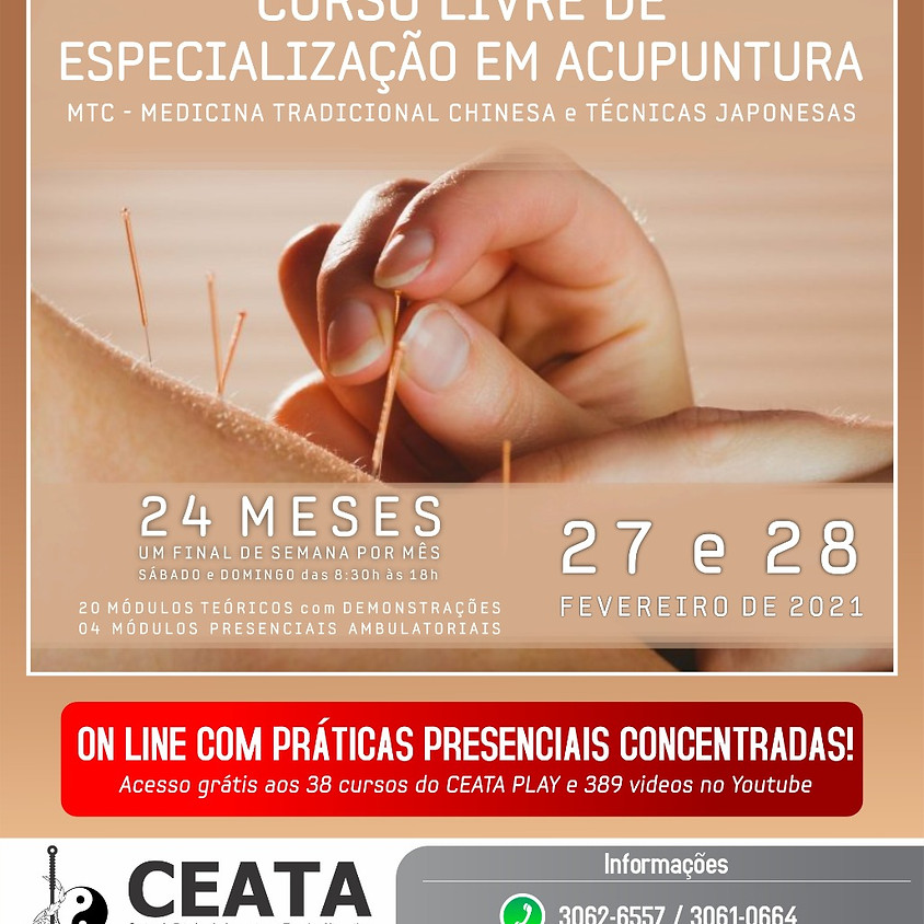 Online com Praticas presenciais: Curso livre de Especialização em Acupuntura