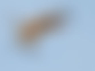 Lokakuun 2019 jäsenkirje