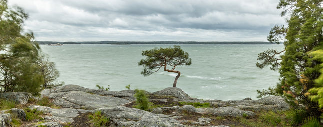 Kesäkuun 2020 jäsenkirje