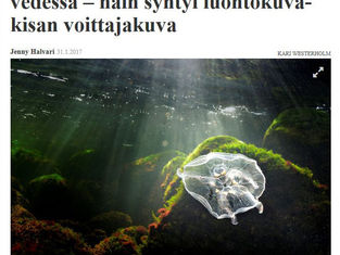 Oulanka Symposium 2017 kilpailumenestystä