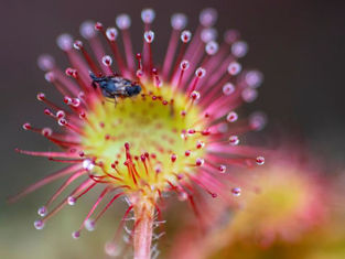 Syyskuun 2019 jäsenilta