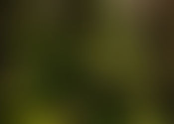 Maaliskuun jäsenilta 2026