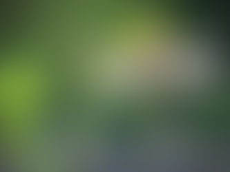 Marraskuun 2019 jäsenkirje