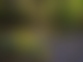 Toukokuun 2019 jäsenkirje