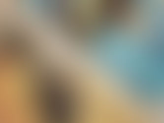 ついに9月に入りました!