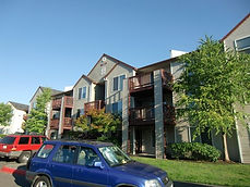 Mold inapartments is a severe issue