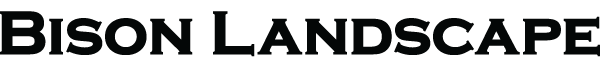 Bison Landscape Left Chest Logo (1).png
