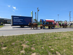 Tier 3 - Kristi Morgan