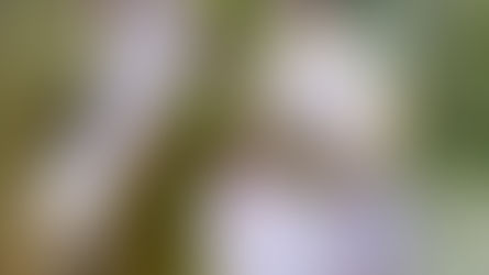 AOUT - SEPTEMBRE 2023