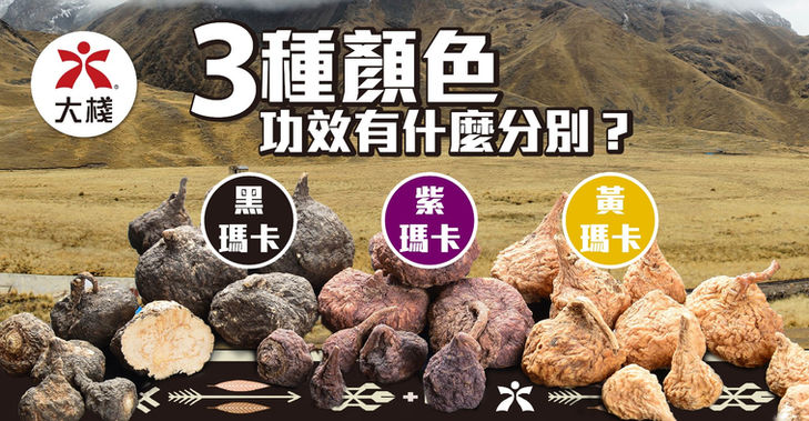 【瑪卡懶人包】不同顏色的瑪卡有什麼分別？