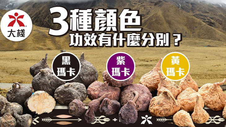 【瑪卡懶人包】不同顏色的瑪卡有什麼分別?