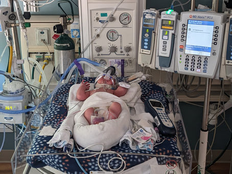 The NICU