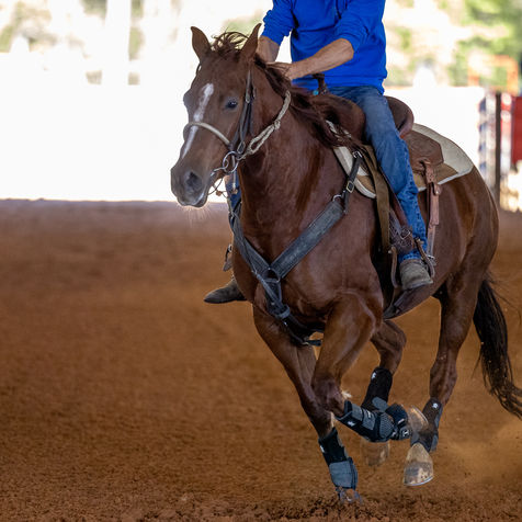 Action Shots and Misc Land Shots-80.jpg
