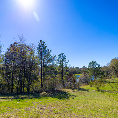 Action Shots and Misc Land Shots-108.jpg