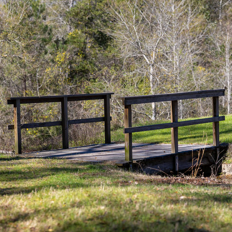 Action Shots and Misc Land Shots-53.jpg