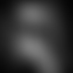 No.1 Family Estate Cuvée Review