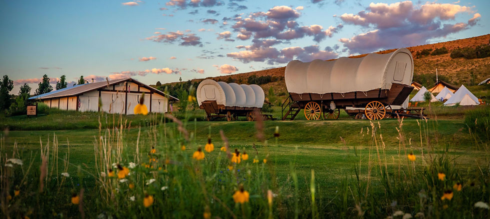Covered wagons on a grassy field with wildflowers, near a barn. Tents and hills in the background under a sky with scattered clouds.
