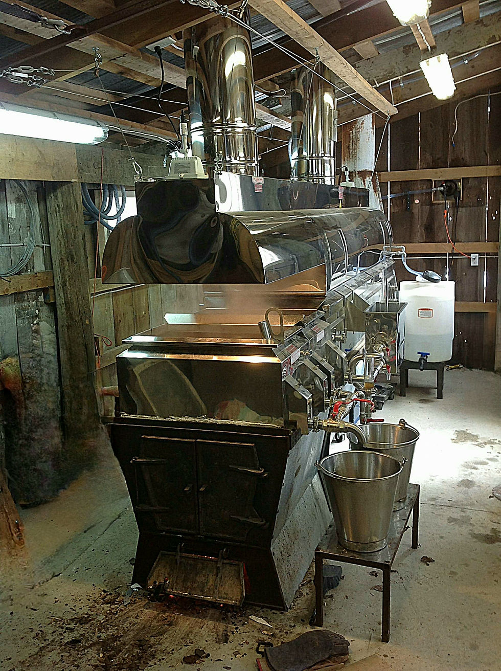 Thumbnail: BLUE RIDGE TIMBERS- 100% Pure Organic Maple Syrup