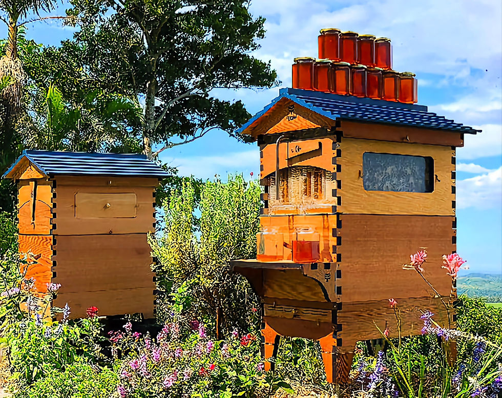 Thumbnail: BLUE RIDGE TIMBERS-  5-Gal. RAW-PURE HONEY